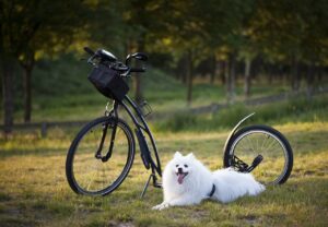 ACL予防のためのトレーニング回数はどのくらいが理想？