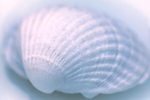 クラムシェルを使ったACL予防のやり方とは？
