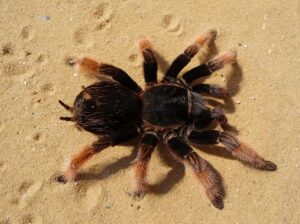 切り返しの動作で膝のねじれを防ぐ方法は？