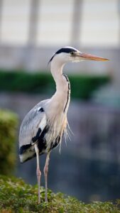 視線を上げることで着地を安全にするためのコツは？
